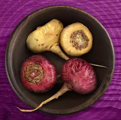 Liečivé rastliny
